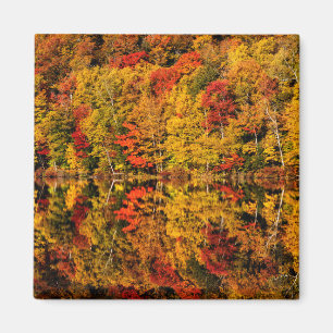 Herfstreflectie op Russell Pond New Hampshire Magneet