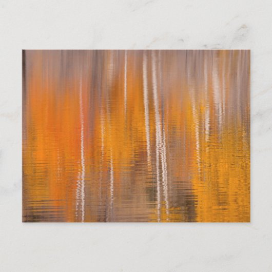 Herfstreflecties op Beaver Pond | Winthrop, WA Briefkaart (Voorkant)