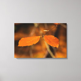 Herfstscène Canvas Afdruk