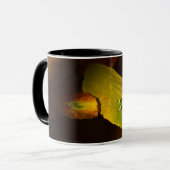 Herfstscène Mok (Voorkant links)