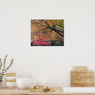 Herfstseizoen Blad Kleuren Botanisch Poster