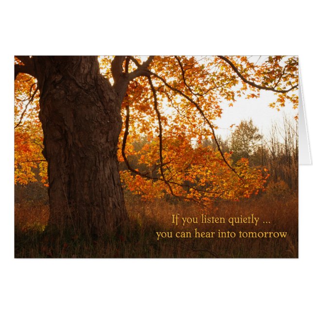 Herfststilte (Voorkant Horizontaal)