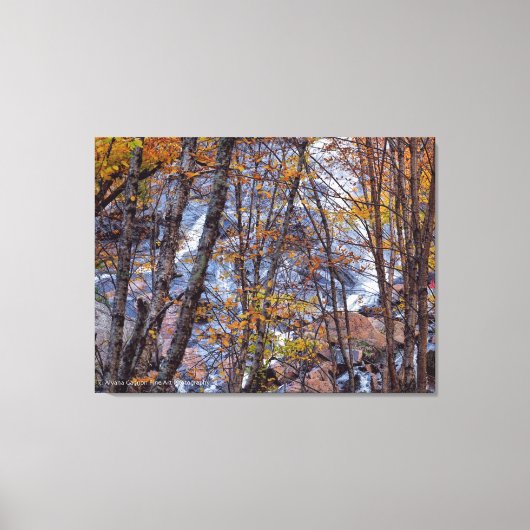 Herfststroom Canvas Afdruk (Voorkant)