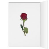 Herfsttinten Groen & Geel Trouwkaart (Binnen (Links))