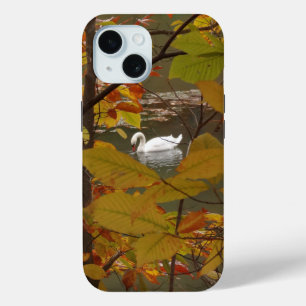 Herfstvijver met zwaan
