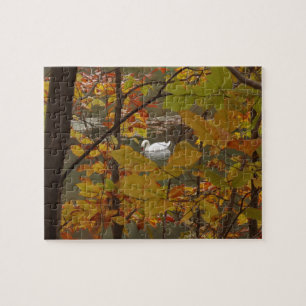 Herfstvijver met zwaan legpuzzel