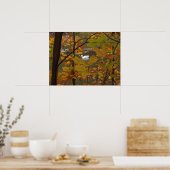 Herfstvijver met zwaan poster (Keuken)
