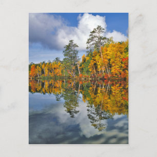 Herfstvijverreflecties, Maine Briefkaart