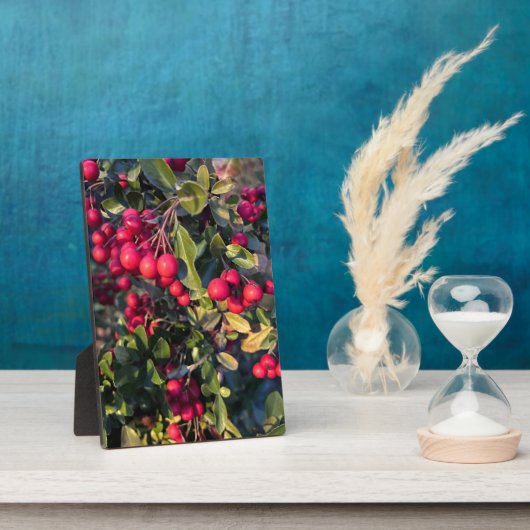 herfstvrucht fotoplaat (Zijkant)