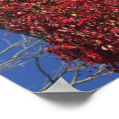 Herfstwijnstokken op Poster van bomen (Hoek)