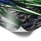 Hergeboorte van Aqua Blue Crocus Blooms Foto Afdruk (Hoek)