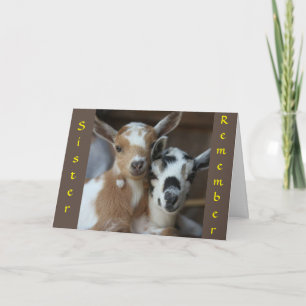 HERINNEREN WANNEER WE KINDER ZISTER WAREN" KAART