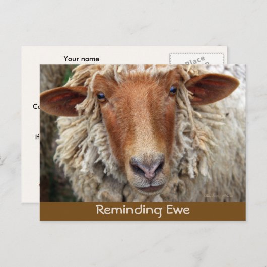 Herinnerend ooi: Herinneringskaarten Aankondigingskaart (Voorkant / Achterkant)