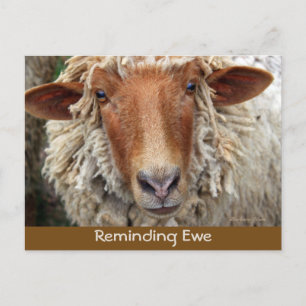 Herinnering aan EWE: Kaarten Herinnering