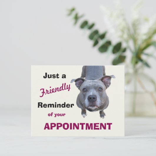 Herinnering diergeneesmiddel Pitbull Briefkaart (Staand voorkant)