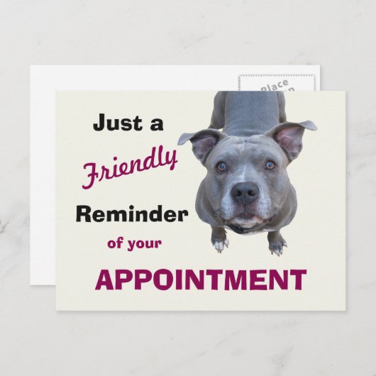 Herinnering diergeneesmiddel Pitbull Briefkaart (Voorkant / Achterkant)