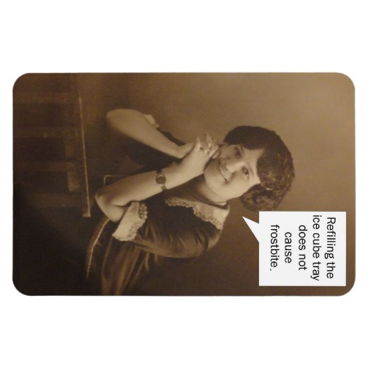 Herinnering ijsblokjeslade magneet (Horizontaal)