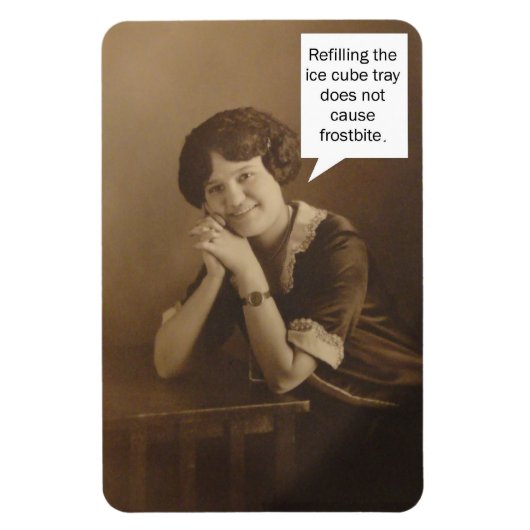 Herinnering ijsblokjeslade magneet (Verticaal)