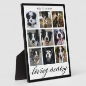 Herinnering Liefdevolle Huisdier Herdenkingsfoto C Fotoplaat (Zijkant)