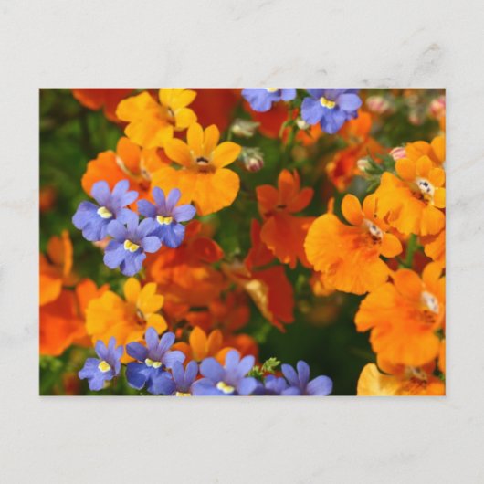 Herinnering van de lente briefkaart (Voorkant)