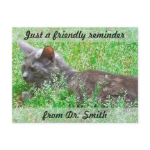 Herinnering  veterinaire controle