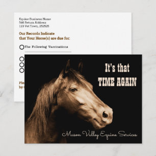 Herinnering voor afspraak met Sepia Toned Horse Briefkaart