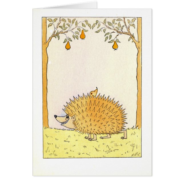 "Hérisson - illustration vintage (Devant)