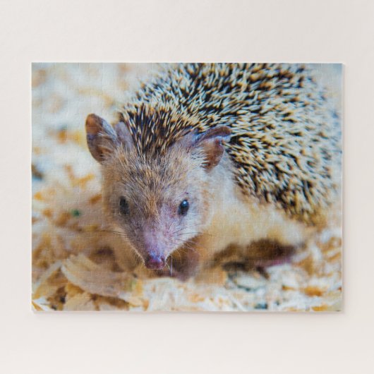 Hérisson Mignon, Puzzle (Horizontal)