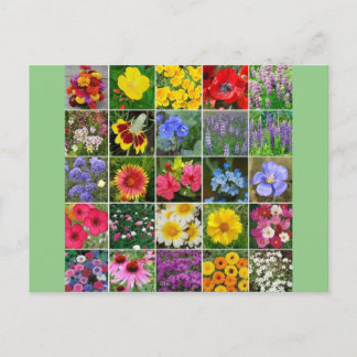 Heritage Flowers - VS Briefkaart