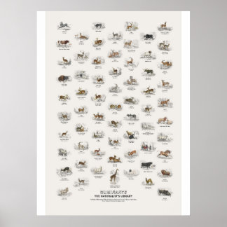 Herkauwers - Naturalist's Library Poster