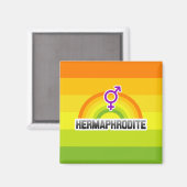 HERMAFRODIET REGENBOOG MAGNEET (Voorkant / Achterkant)