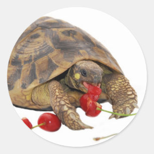 Hermann Tortoise en aardbeien Ronde Sticker