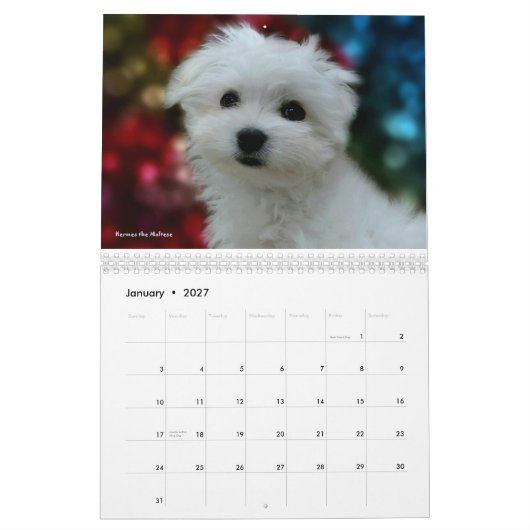 Hermes de Maltese agenda Kalender (Jan 2027)