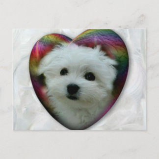 Hermes de Maltese Briefkaart