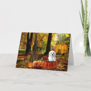 Hermes de Maltese Kaart