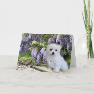Hermes de Maltese Kaart