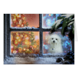 Hermes de Maltese kerstkaart