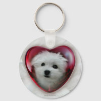Hermes de Maltese