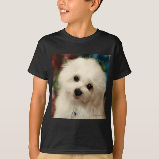 Hermes de Maltese T-shirt (Voorkant)