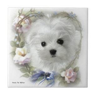 Hermes de Maltese Tegeltje