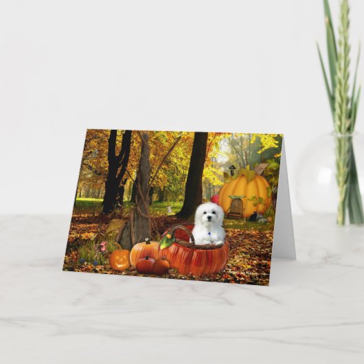 Hermes de Maltezer Kaart (Voorkant)