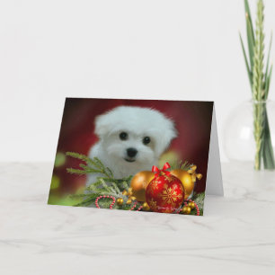 Hermes het Maltese kerst Wenskaart Feestdagen Kaart