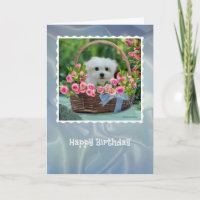 Hermes la carte d'anniversaire maltaise