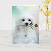 Hermes la carte d'anniversaire maltaise (Fleur jaune)