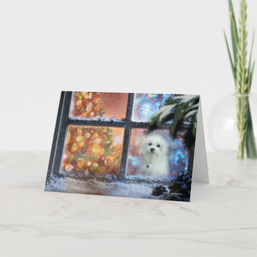 Hermès la carte de voeux de Noël maltaise (Devant)