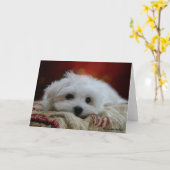 Hermes, la carte de voeux vierge maltaise (Fleur jaune)