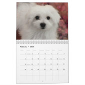 Hermes le calendrier maltais (Feb 2026)