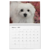 Hermes le calendrier maltais (Feb 2027)