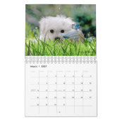 Hermes le calendrier maltais (Mar 2027)