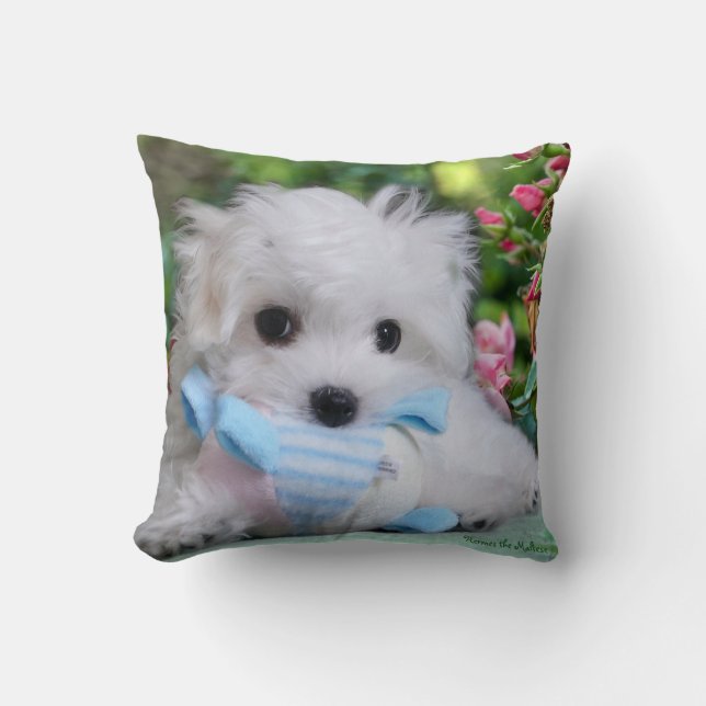 Hermes the Maltese Pillow/Cushion Kussen (Voorkant)